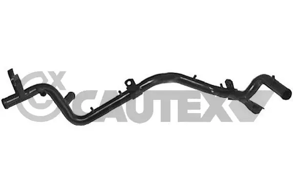 955132 Cautex