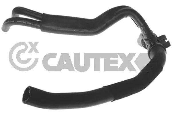 486534 Cautex