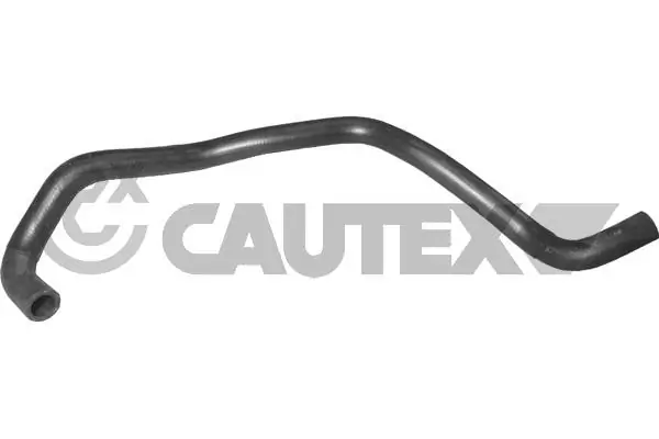 036225 Cautex