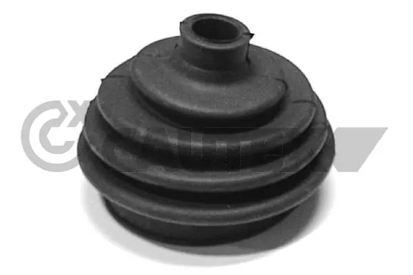 480121 Cautex