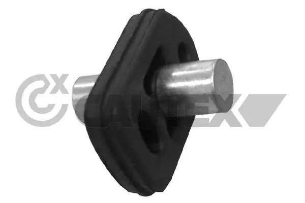 030918 Cautex