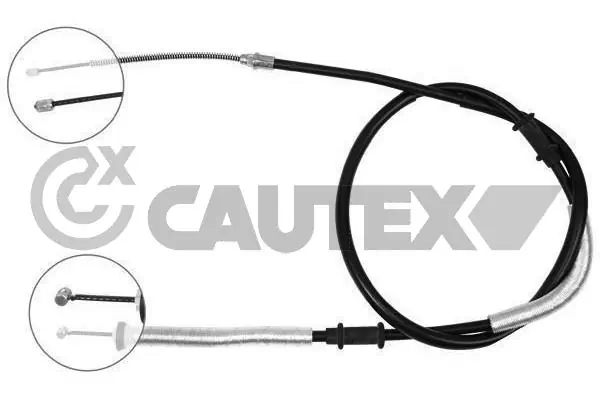 019010 Cautex