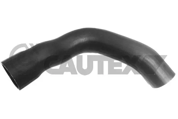 753022 Cautex