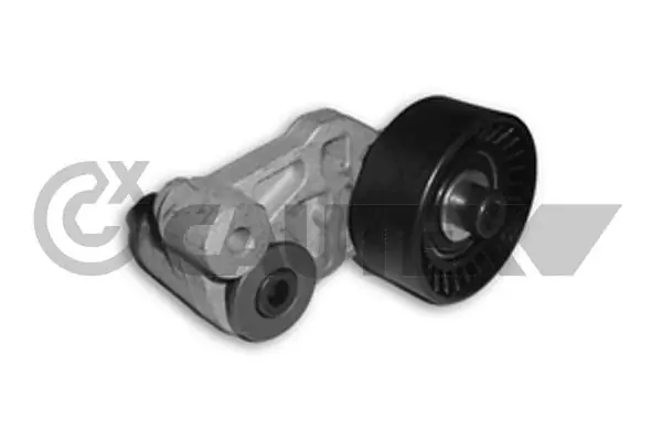 030950 Cautex