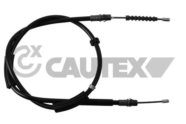 088094 Cautex