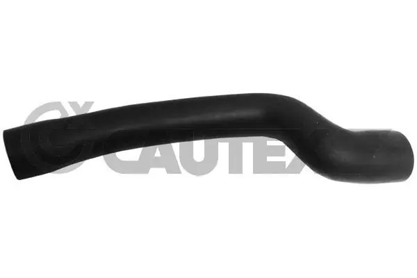 753025 Cautex