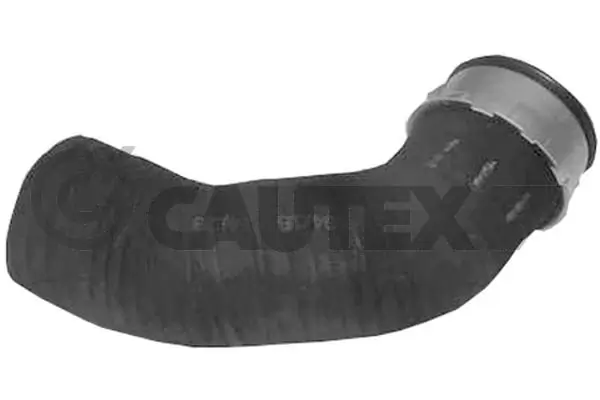 754463 Cautex