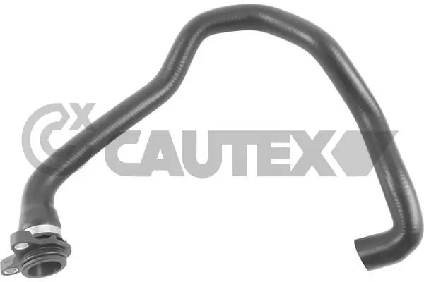 765414 Cautex