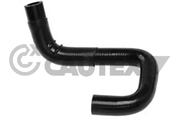 086184 Cautex