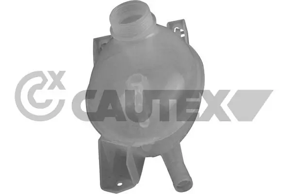 750313 Cautex