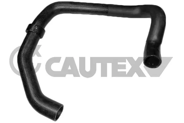 752683 Cautex