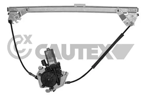 037071 Cautex