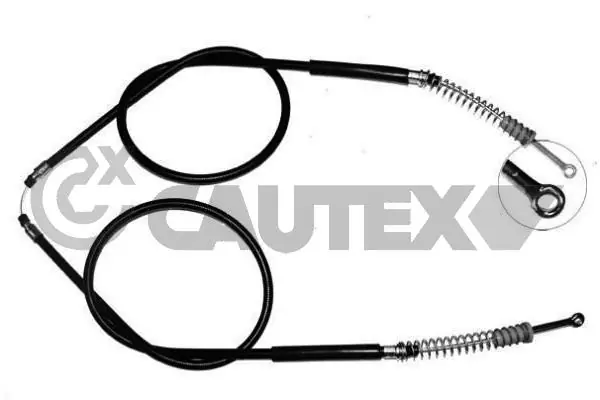 225733 Cautex