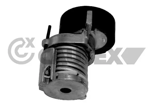 460987 Cautex