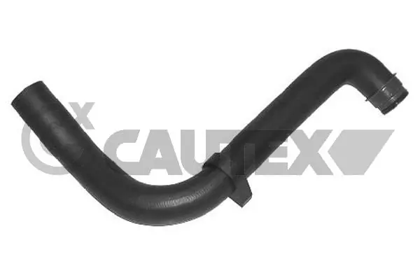 031067 Cautex