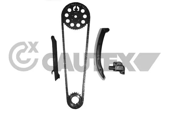 186718 Cautex