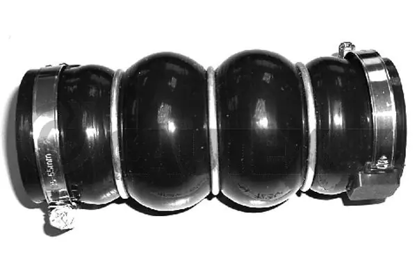 031354 Cautex