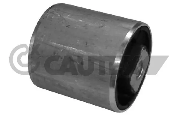 200924 Cautex