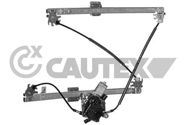 037319 Cautex