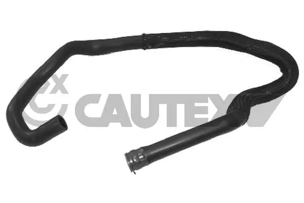 036410 Cautex