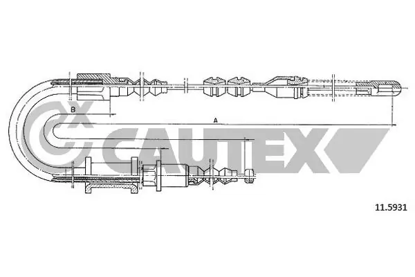 487446 Cautex
