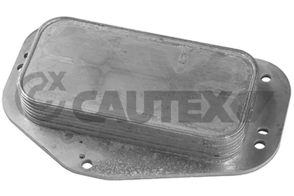 751824 Cautex