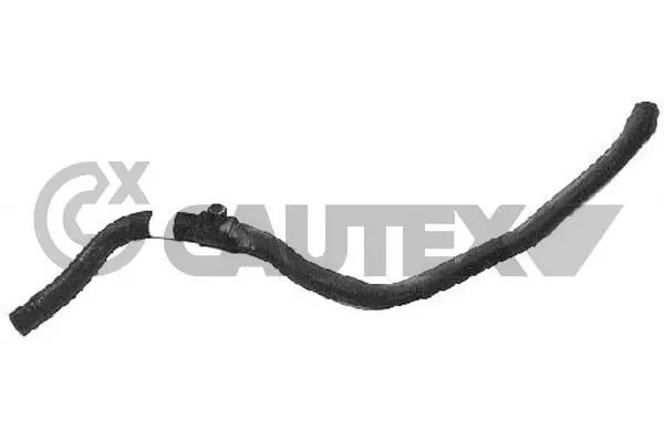 036010 Cautex