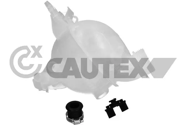 955434 Cautex