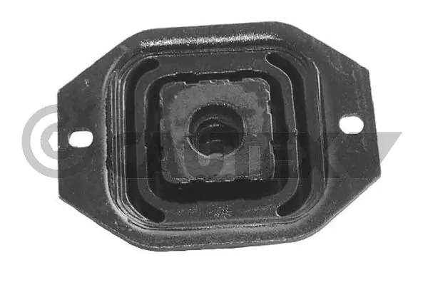 030242 Cautex