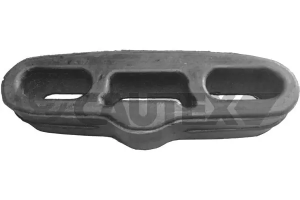 480609 Cautex