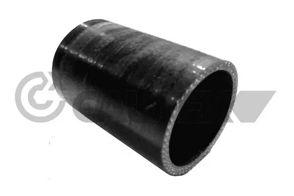 066580 Cautex