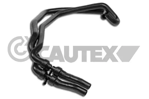 481115 Cautex