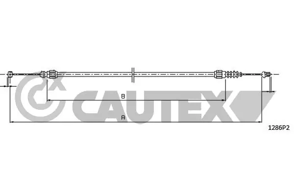 013001 Cautex