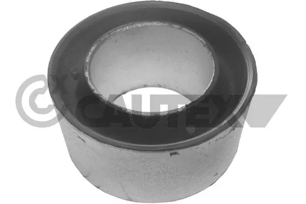 020891 Cautex