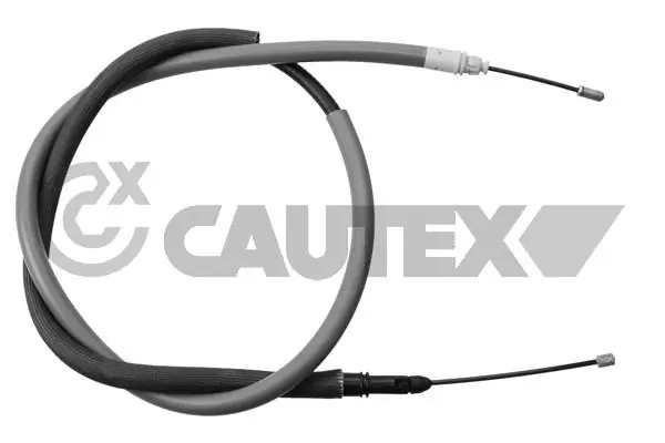 038489 Cautex