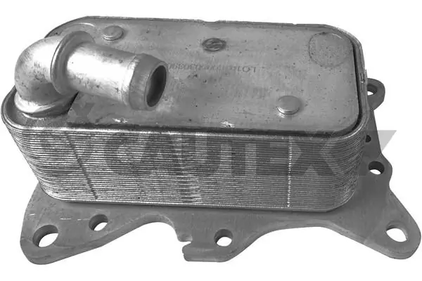 751804 Cautex