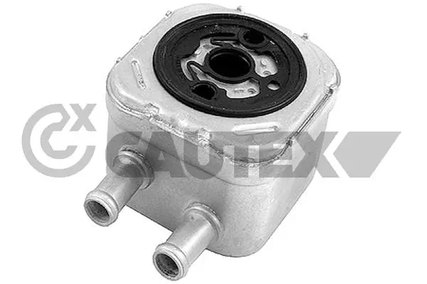 462526 Cautex