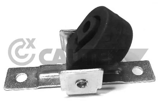 462403 Cautex