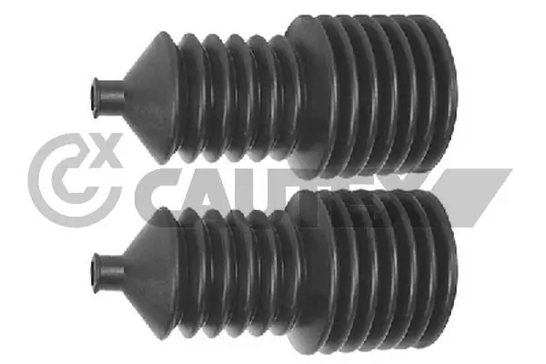 020358 Cautex
