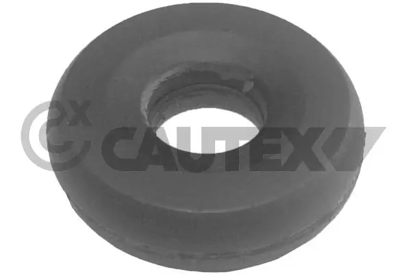 751456 Cautex