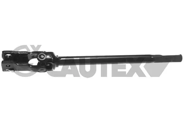 751108 Cautex