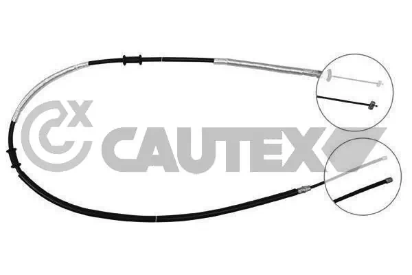 019038 Cautex