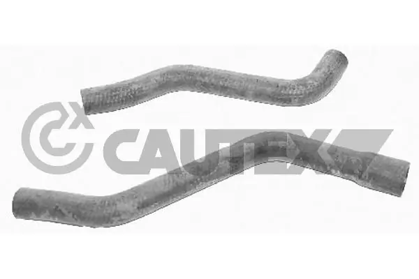 751874 Cautex