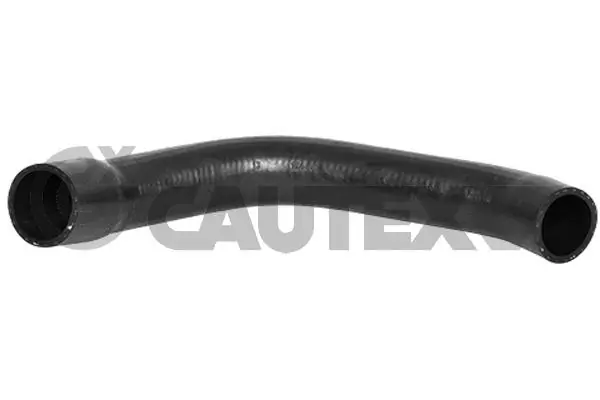 026236 Cautex