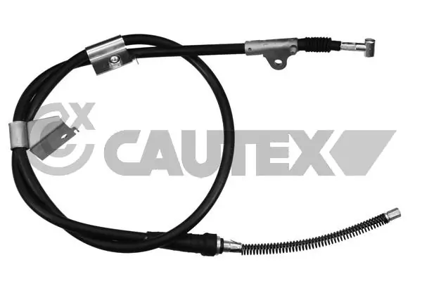 069109 Cautex