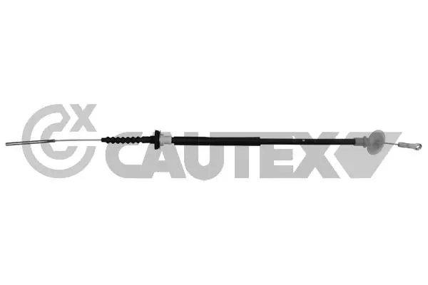 011171 Cautex