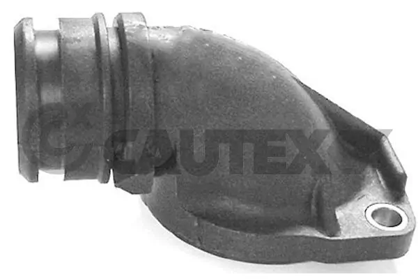 952106 Cautex