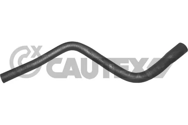 036219 Cautex
