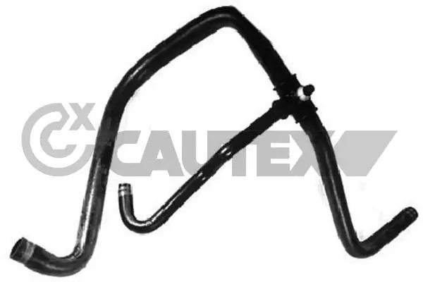 036033 Cautex