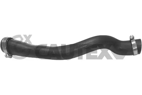 086802 Cautex